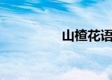 山楂花语（山楂花歌词）