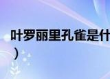 叶罗丽里孔雀是什么身份（是怎么推断出来的）