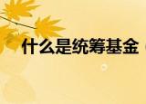 什么是统筹基金（统筹基金是什么意思）
