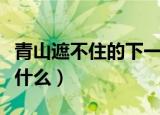 青山遮不住的下一句（青山遮不住的下一句是什么）