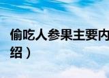 偷吃人参果主要内容（偷吃人参果主要内容介绍）