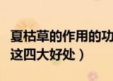 夏枯草的作用的功效是什么（一起来了解一下这四大好处）