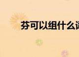芬可以组什么词（芬的组词有哪些）