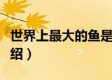 世界上最大的鱼是哪种鱼（世界上最大的鱼介绍）