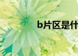 b片区是什么意思啊（b片）