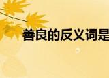 善良的反义词是什么（善良的反义词）