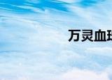 万灵血珠（万灵血珠）