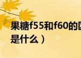 果糖f55和f60的区别（果糖f55和f60的区别是什么）