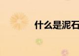 什么是泥石流（泥石流介绍）