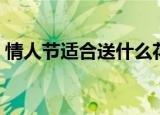 情人节适合送什么花（情人节可以送什么花）
