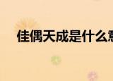佳偶天成是什么意思（佳偶天成的解释）