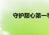 守护甜心第一季（守护甜心第三部）