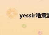 yessir啥意思（yessir的意思）