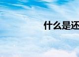 什么是还音（还音简述）