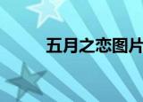 五月之恋图片（五月之恋炎亚纶）