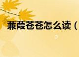 蒹葭苍苍怎么读（蒹葭苍苍的原文及译文）