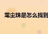 雮尘珠是怎么找到的（雮尘珠在哪找到的）