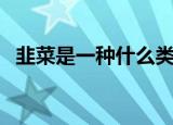 韭菜是一种什么类型的植物（韭菜是什么）