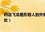 药店飞龙是形容人的外貌还是品格（药店飞龙成语解释及出处）