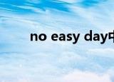 no easy day中文（no easy way）