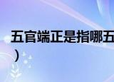 五官端正是指哪五官（五官端正分别指哪五官）