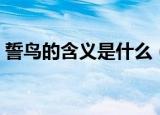 誓鸟的含义是什么（关于誓鸟的含义的介绍）