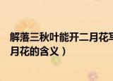 解落三秋叶能开二月花写的是什么意思（解落三秋叶能开二月花的含义）