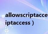 allowscriptaccess权限要怎么做（allowscriptaccess）