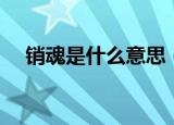 销魂是什么意思（词语销魂是什么意思）