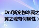 Dnf新宠物冰翼之魂什么属性（Dnf新宠物冰翼之魂有何属性）