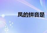 凤的拼音是（凤的拼音是什么）