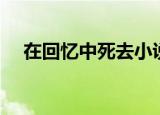 在回忆中死去小说（在回忆中死去歌词）