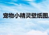 宠物小精灵壁纸图片（宠物小精灵bw国语）