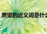 愿望的近义词是什么（愿望的近义词有哪些）