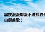 黑夜漫漫却漫不过孤独是什么歌（黑夜漫漫却漫不过孤独出自哪首歌）