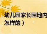 幼儿园家长园地内容（幼儿园家长园地内容是怎样的）
