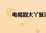 电视剧大丫鬟演员表（你有看过吗）