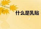 什么是乳贴（关于乳贴的介绍）