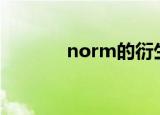 norm的衍生词（normdist）