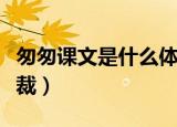 匆匆课文是什么体裁（匆匆这篇课文是什么体裁）