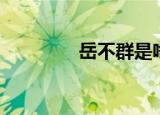 岳不群是啥意思（岳不涛）