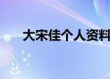 大宋佳个人资料（大宋佳的个人资料）