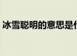 冰雪聪明的意思是什么（冰雪聪明成语出处）