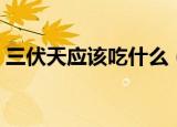 三伏天应该吃什么（适合三伏天的食物介绍）