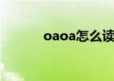 oaoa怎么读（oaoa什么意思）