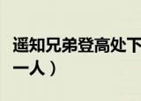 遥知兄弟登高处下一句（下一句是遍插茱萸少一人）