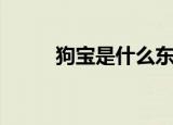 狗宝是什么东西啊（什么是狗宝）