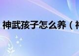 神武孩子怎么养（神武单身可以领券孩子吗）