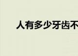 人有多少牙齿不算智齿（人有多少牙）