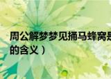 周公解梦梦见捅马蜂窝是什么意思（周公解梦梦见捅马蜂窝的含义）